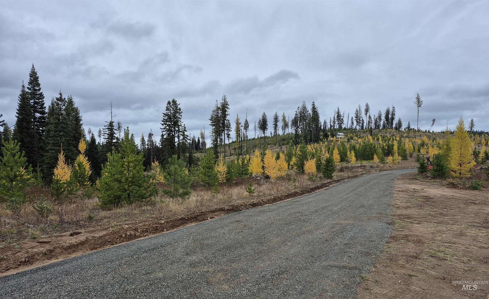 27 Acres of Improved Recreational Land for Sale in Elk City, Idaho