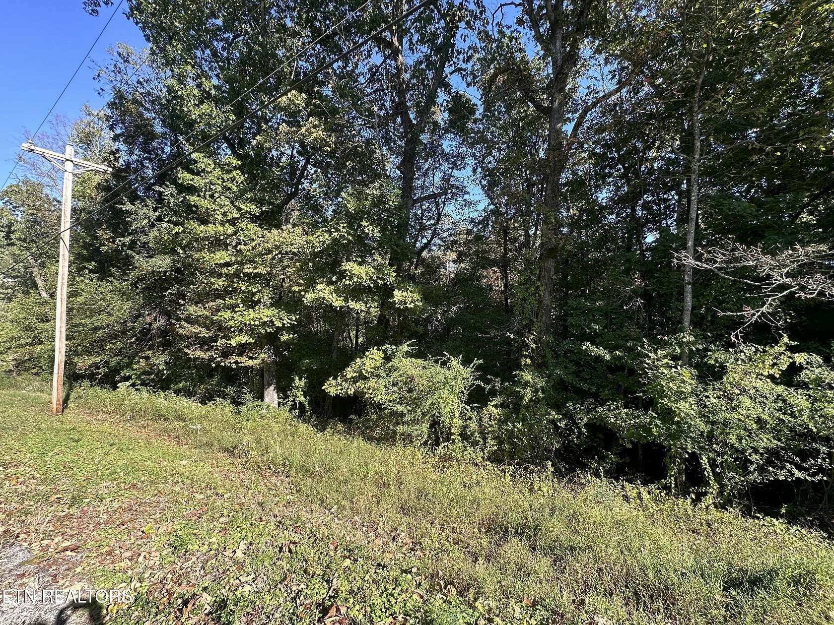 0.38 Acres of Residential Land for Sale in Rockwood, Tennessee