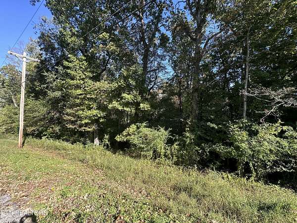 0.38 Acres of Residential Land for Sale in Rockwood, Tennessee