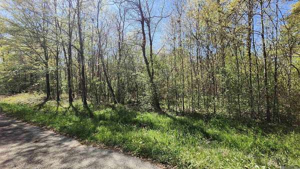 0.56 Acres of Residential Land for Sale in Baton Rouge, Louisiana