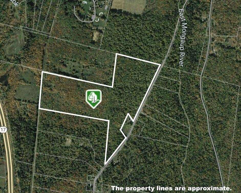 64 Acres of Recreational Land for Sale in Harris, New York