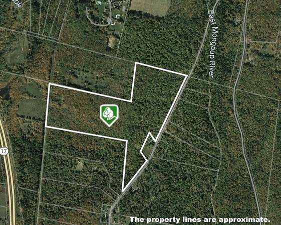 64 Acres of Recreational Land for Sale in Harris, New York