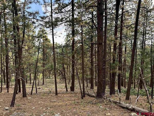 1 Acre of Land for Sale in Bayfield, Colorado