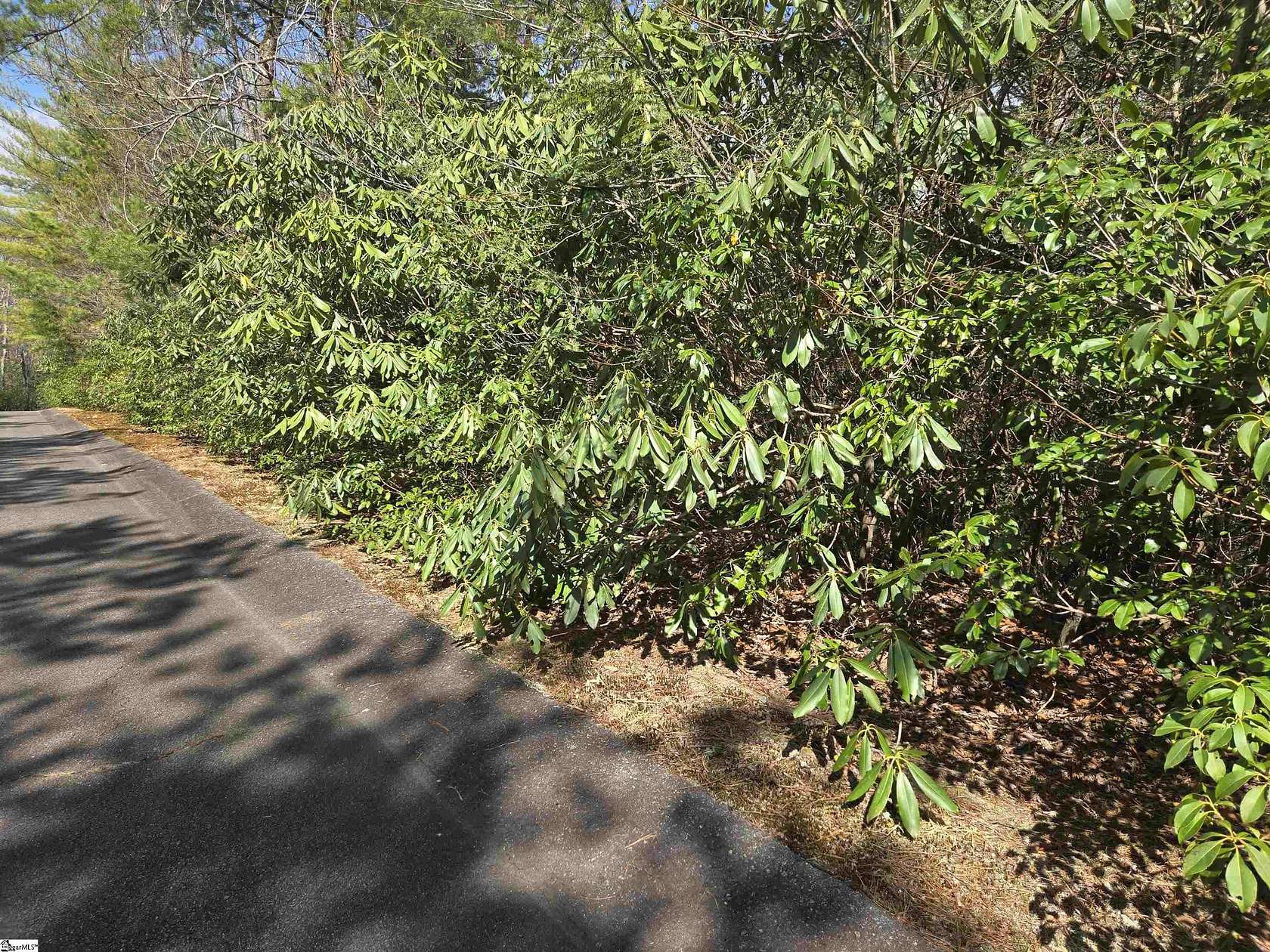 0.57 Acres of Residential Land for Sale in Cleveland, South Carolina
