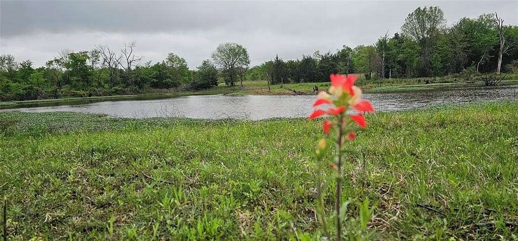 80.7 Acres of Agricultural Land for Sale in Canton, Texas