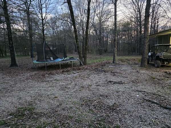 42 Acres of Recreational Land & Farm for Sale in Avery, Texas