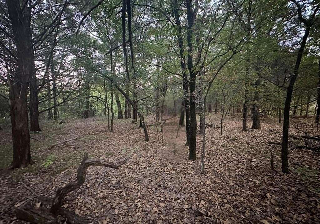 0.42 Acres of Residential Land for Sale in Gordonville, Texas