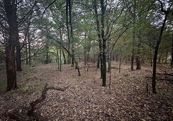 0.42 Acres of Residential Land for Sale in Gordonville, Texas