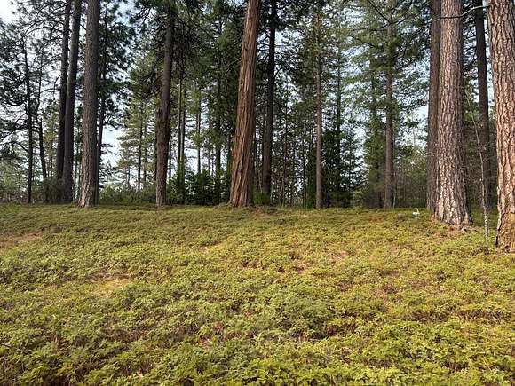 0.75 Acres of Residential Land for Sale in Avery, California