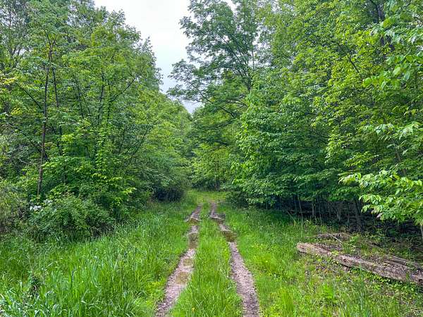 49.7 Acres of Recreational Land for Sale in Spencer, Ohio