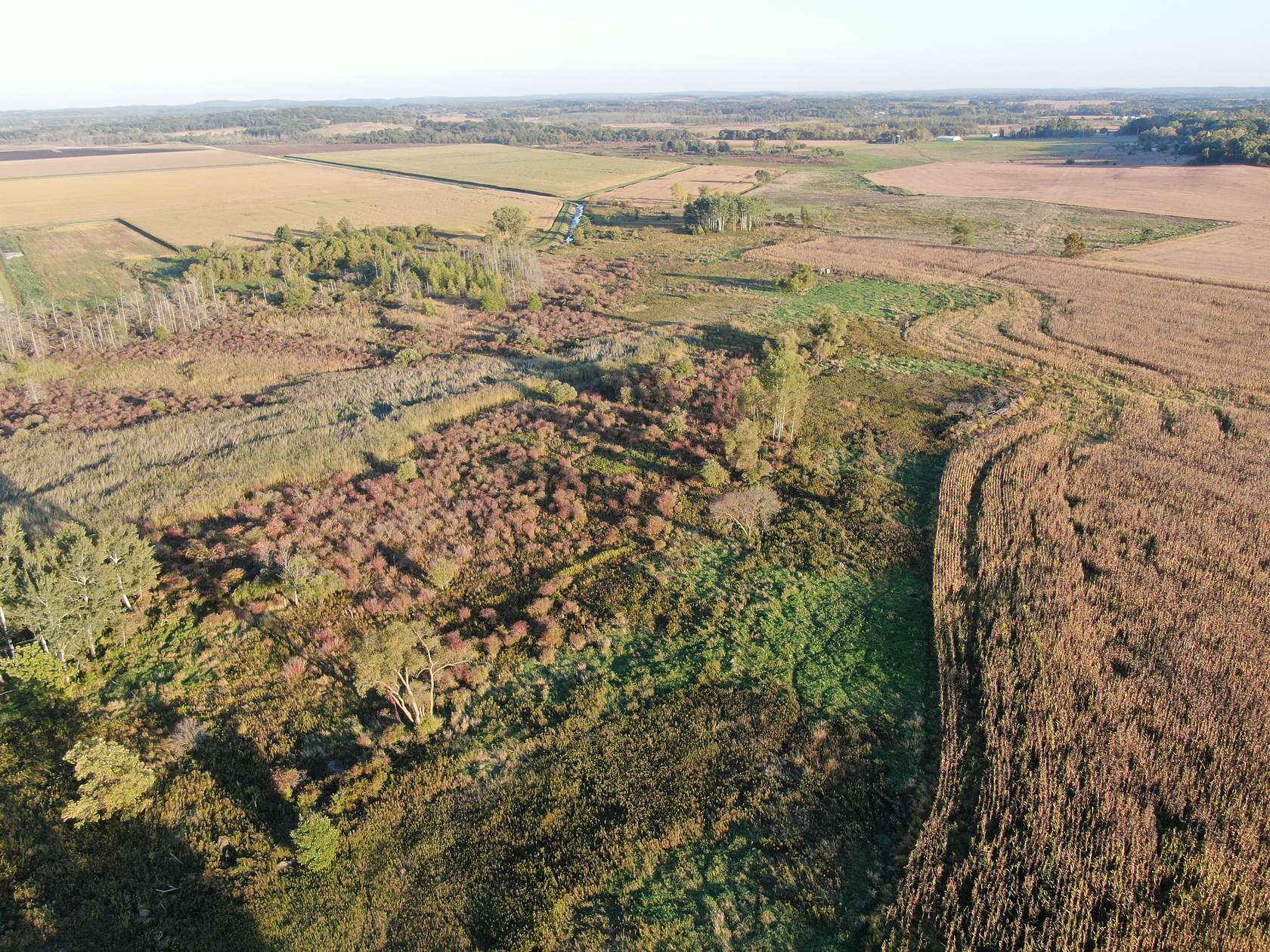 40 Acres of Recreational Land & Farm for Sale in Oxford, Wisconsin