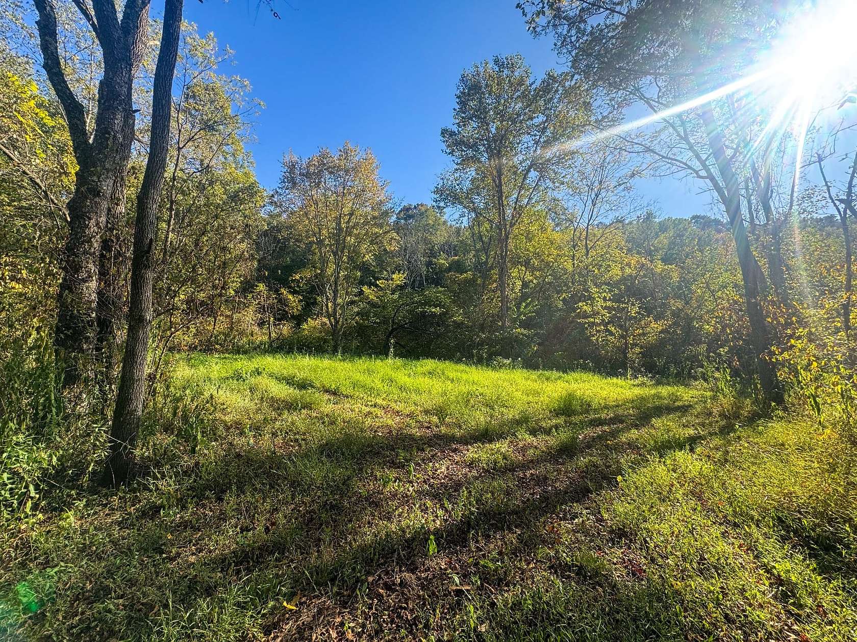 68 Acres of Recreational Land for Sale in New Marshfield, Ohio