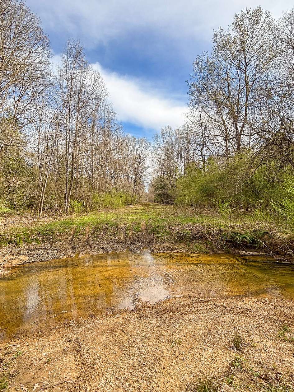 85.3 Acres of Recreational Land for Sale in Malvern, Arkansas