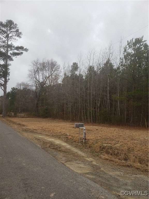 9.75 Acres of Land for Sale in Spring Grove, Virginia