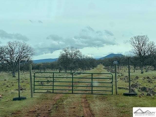 48.7 Acres of Recreational Land for Sale in Anderson, California