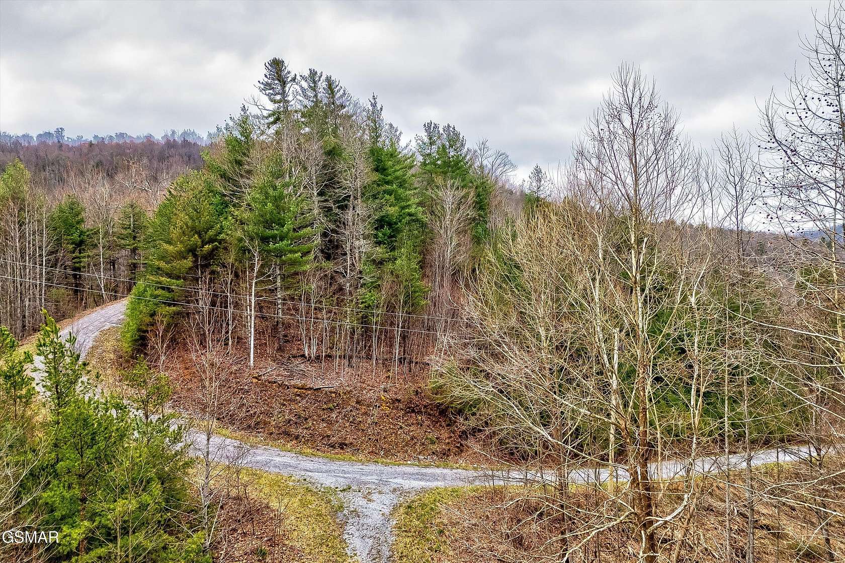 11.7 Acres of Recreational Land for Sale in Del Rio, Tennessee