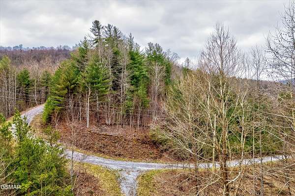 11.7 Acres of Recreational Land for Sale in Del Rio, Tennessee