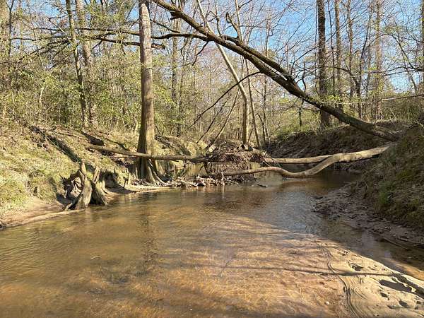 34 Acres of Recreational Land for Sale in Jena, Louisiana