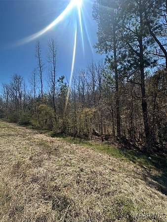 12.3 Acres of Land for Sale in Ramer, Alabama