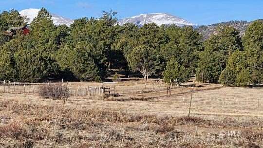 2.5 Acres of Residential Land for Sale in Cotopaxi, Colorado