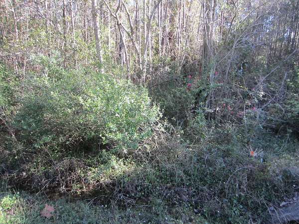 0.57 Acres of Residential Land for Sale in Santa Rosa Beach, Florida