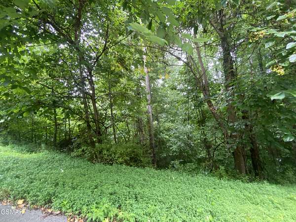 0.94 Acres of Residential Land for Sale in Maynardville, Tennessee