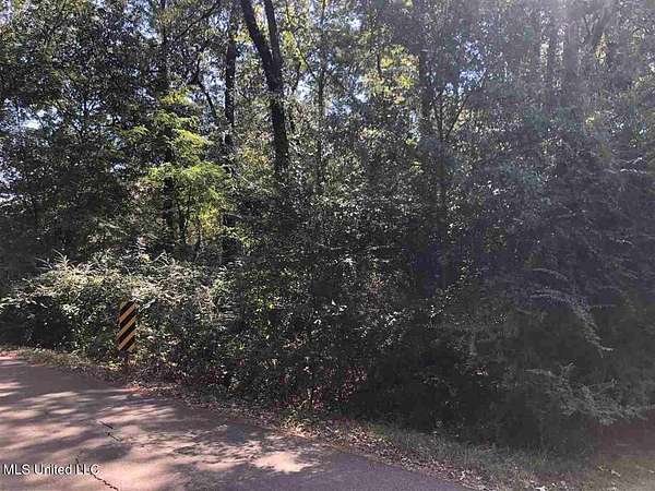 0.45 Acres of Commercial Land for Sale in Ridgeland, Mississippi