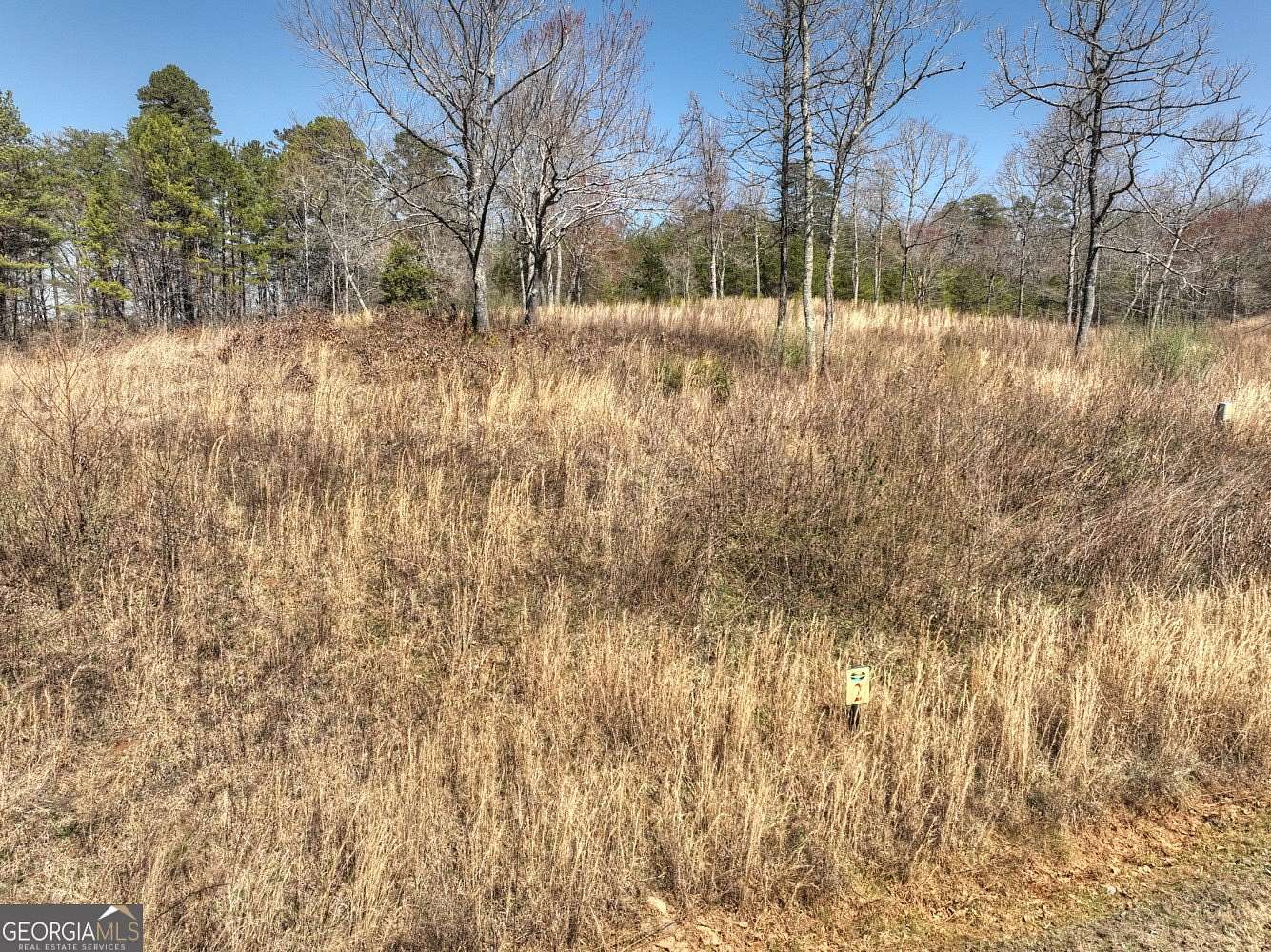 0.94 Acres of Residential Land for Sale in Mineral Bluff, Georgia