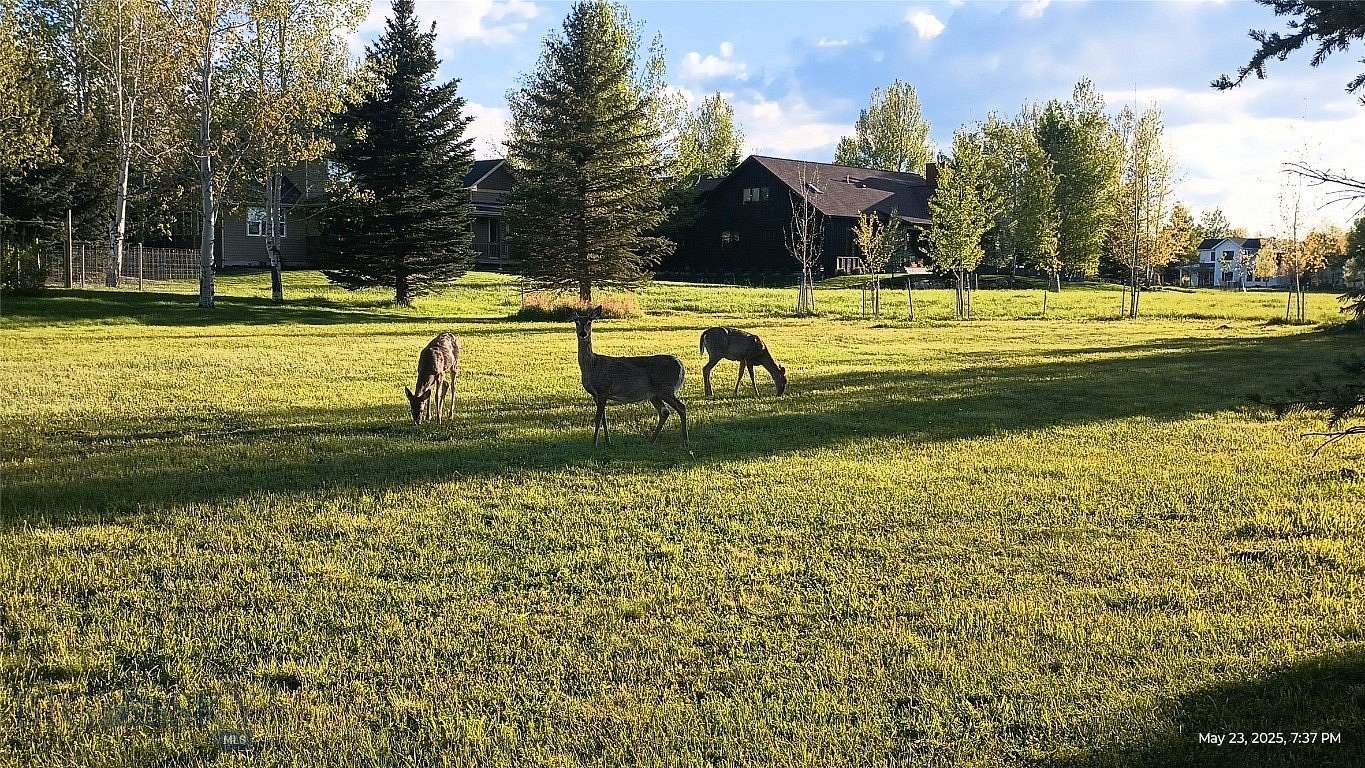 0.31 Acres of Residential Land for Sale in Bozeman, Montana