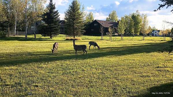 0.31 Acres of Residential Land for Sale in Bozeman, Montana