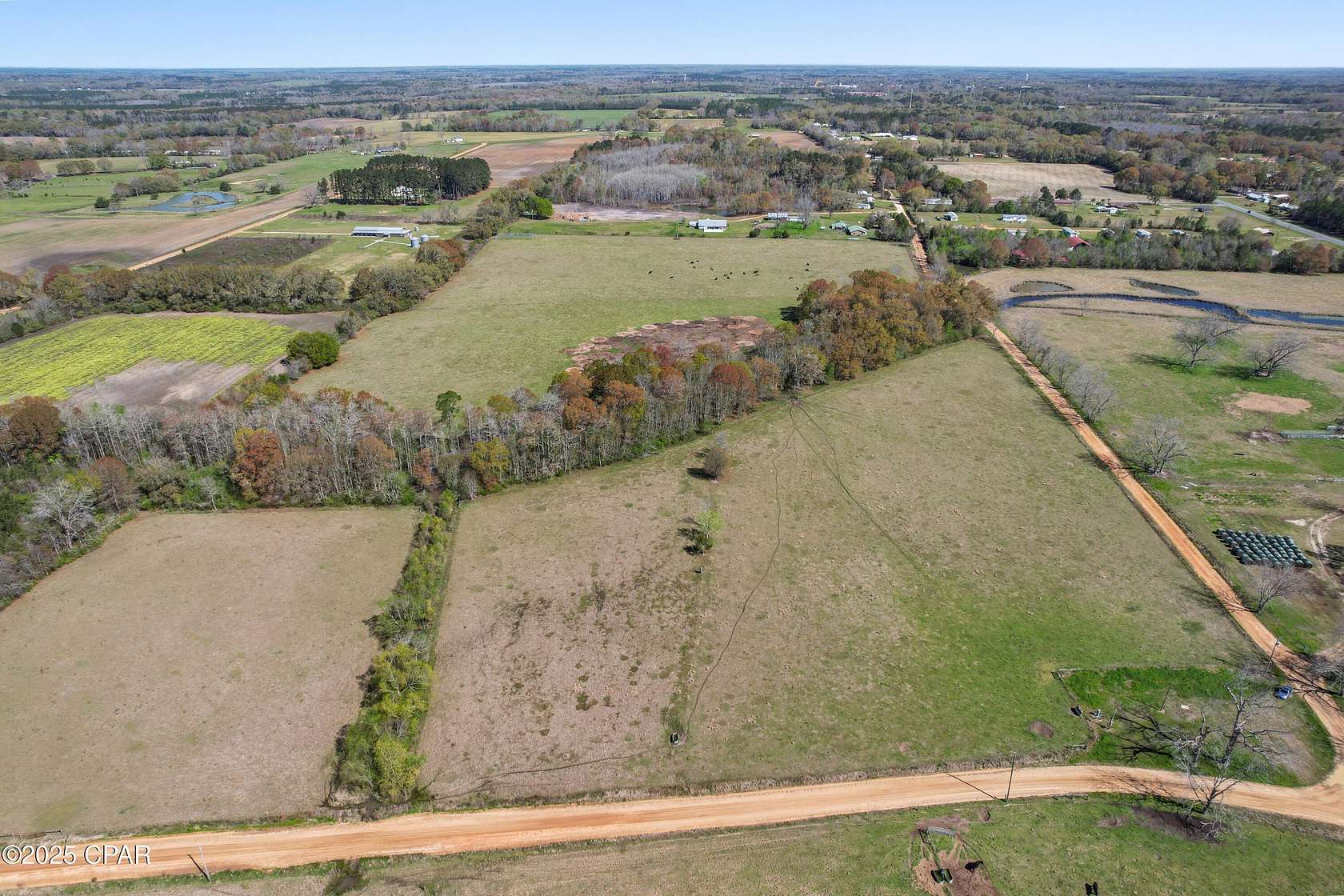 39 Acres of Agricultural Land for Sale in Graceville, Florida