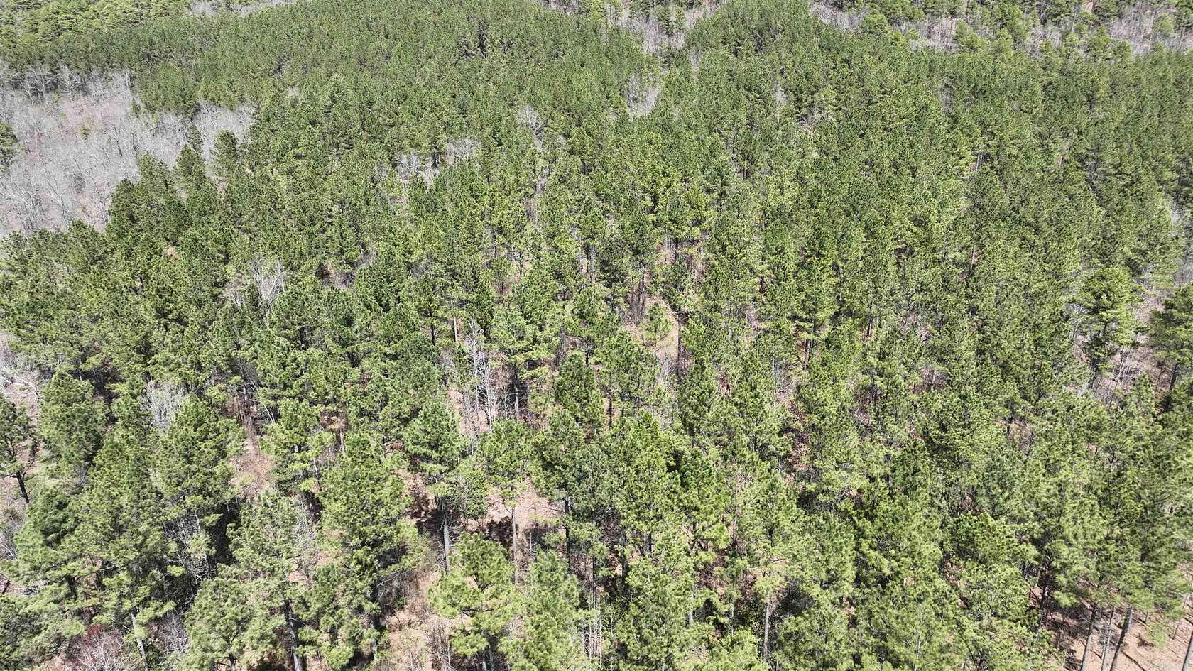 9.58 Acres of Land for Sale in Mena, Arkansas