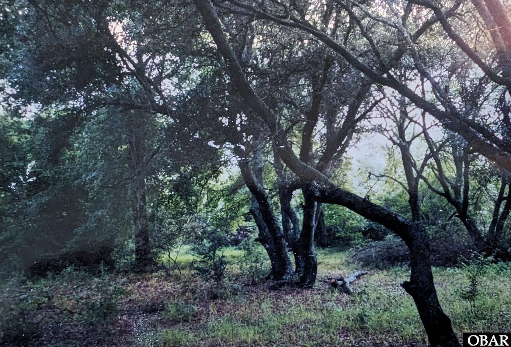 0.34 Acres of Residential Land for Sale in Corolla, North Carolina