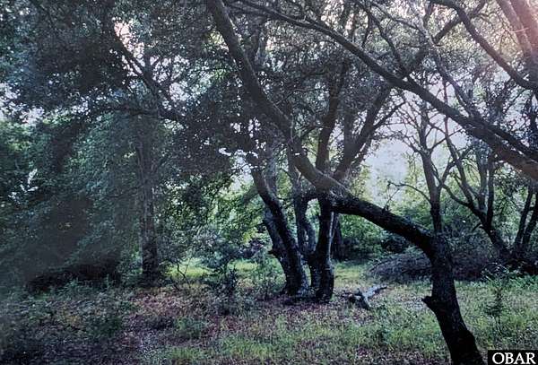 0.34 Acres of Residential Land for Sale in Corolla, North Carolina