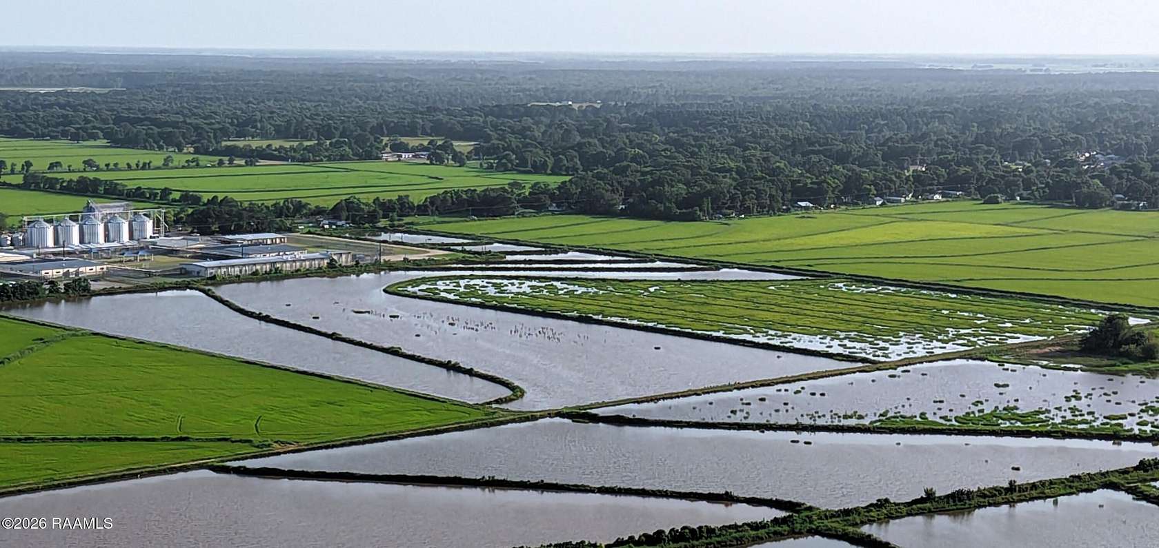 100 Acres of Agricultural Land for Sale in Basile, Louisiana