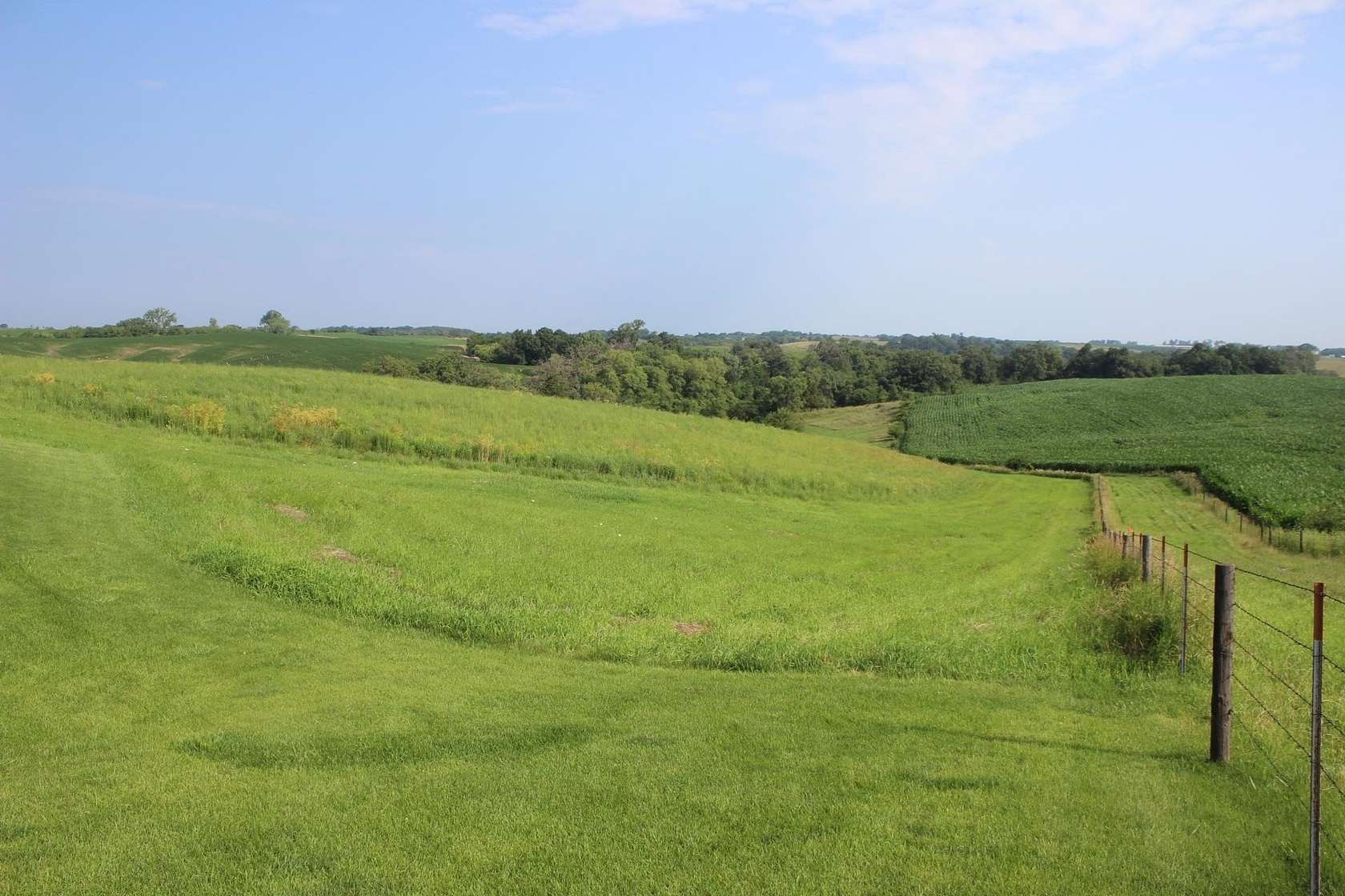 120 Acres of Land for Sale in Wyoming, Iowa