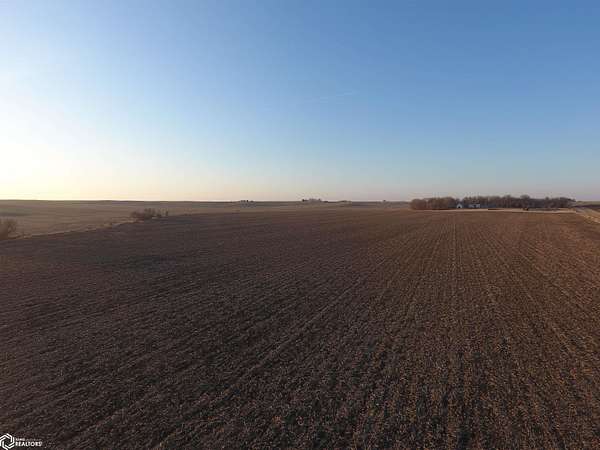 146 Acres of Agricultural Land for Sale in Buckingham, Iowa