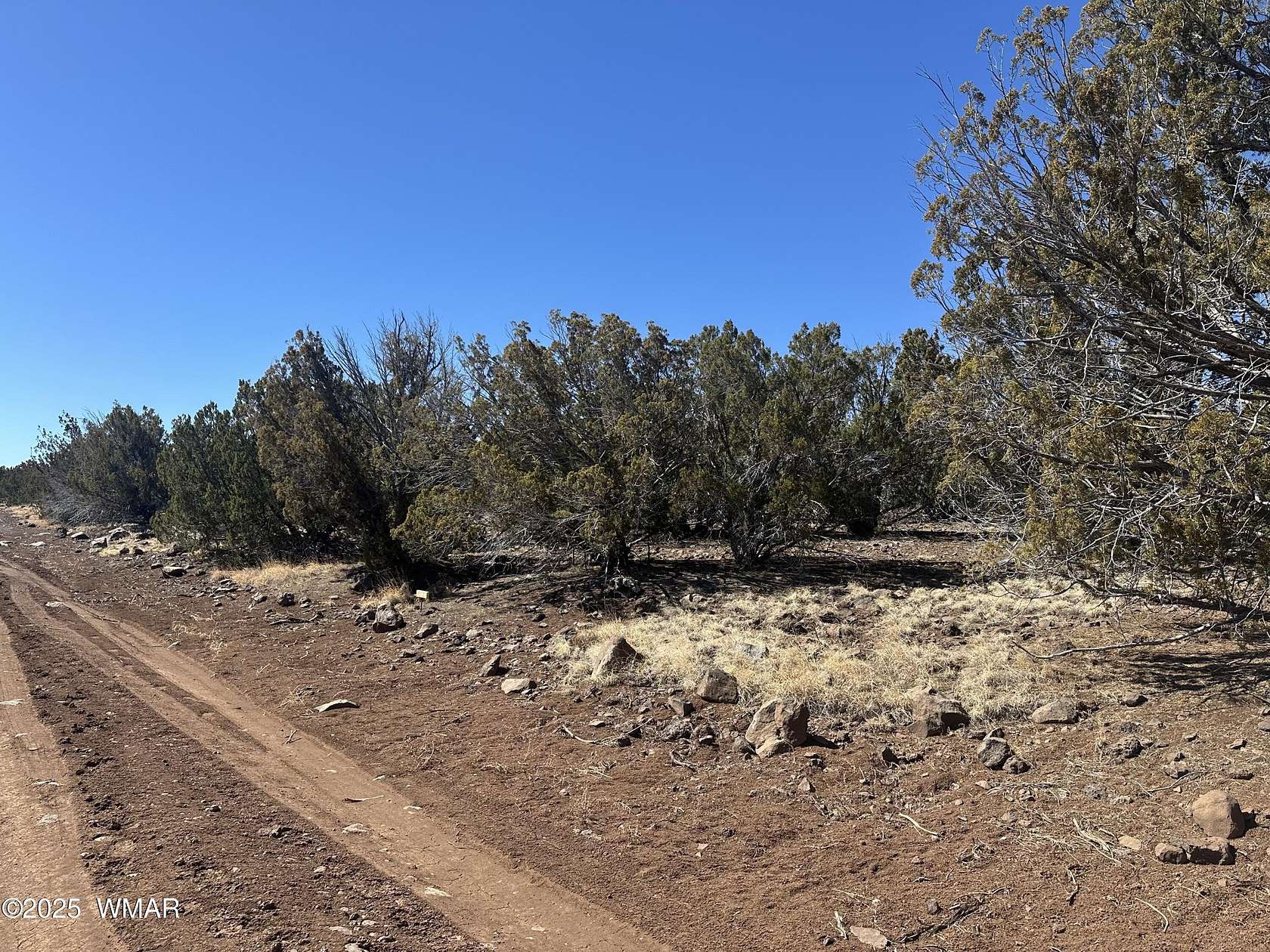 1.16 Acres of Residential Land for Sale in Concho, Arizona