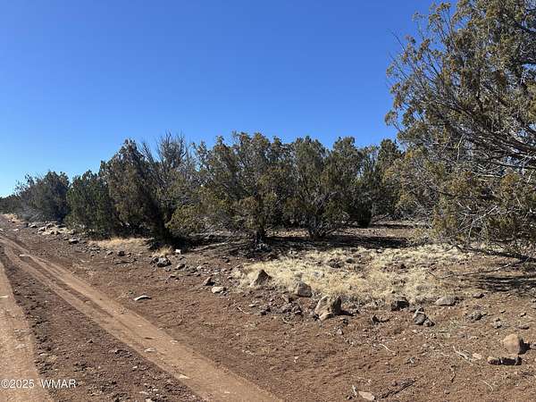 1.16 Acres of Residential Land for Sale in Concho, Arizona