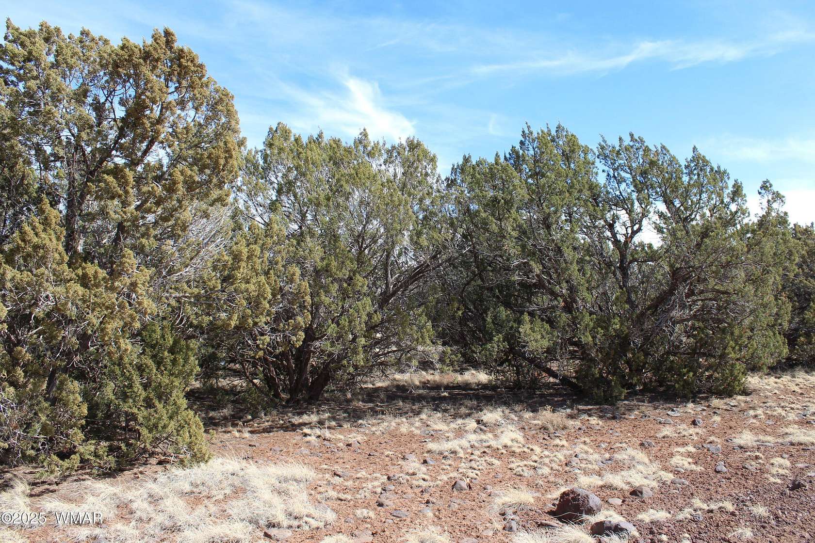 10 Acres of Residential Land for Sale in Concho, Arizona