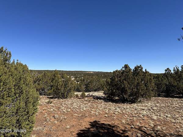 1.14 Acres of Residential Land for Sale in Concho, Arizona