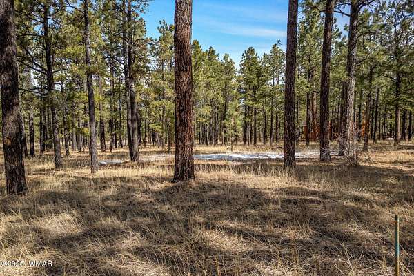 1 Acre of Residential Land for Sale in Greer, Arizona