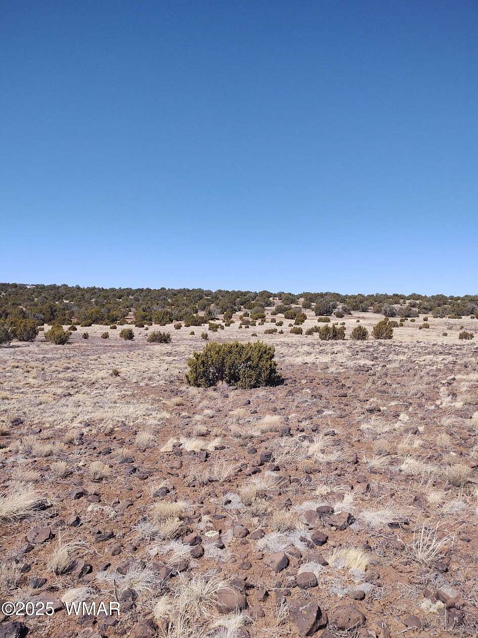 6 Acres of Residential Land for Sale in Concho, Arizona