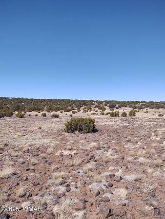 6 Acres of Residential Land for Sale in Concho, Arizona