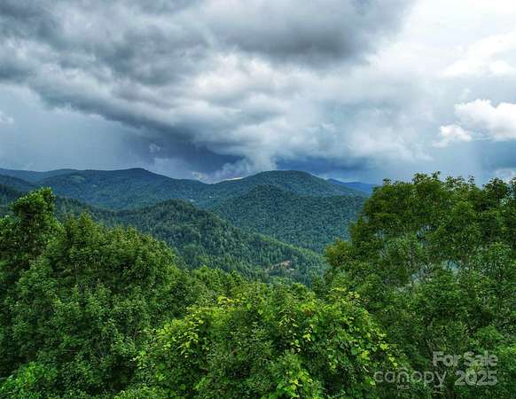 49.4 Acres of Recreational Land for Sale in Mars Hill, North Carolina
