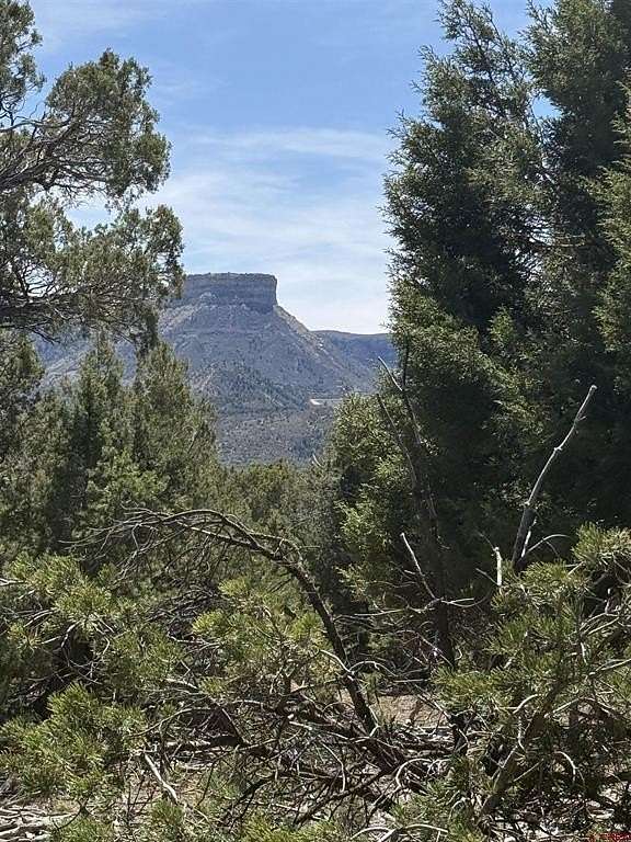 10 Acres of Land for Sale in Mancos, Colorado