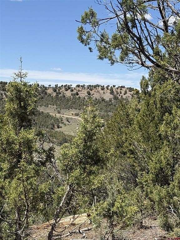 10 Acres of Land for Sale in Mancos, Colorado