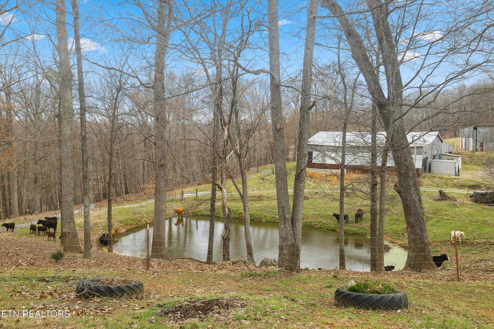 73.3 Acres of Land with Home for Sale in Washburn, Tennessee
