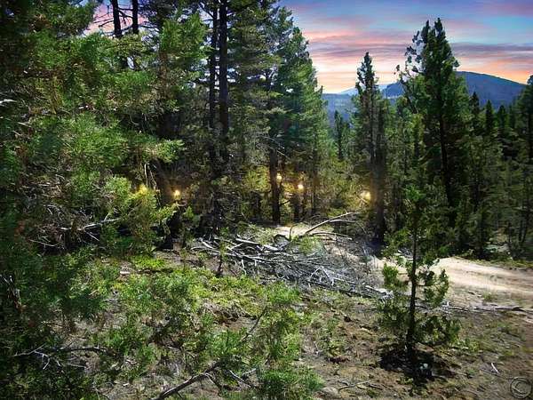 10.5 Acres of Recreational Land for Sale in Philipsburg, Montana