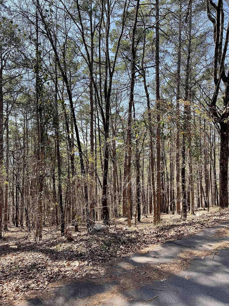 0.25 Acres of Residential Land for Sale in Hot Springs Village, Arkansas